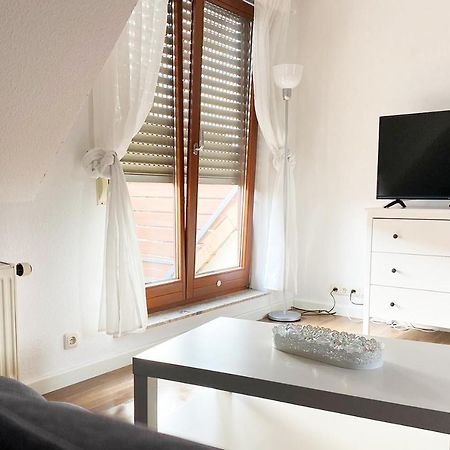 Schoenes 1 Zimmer Apartment Mit Dachterrasse Glauchau Luaran gambar