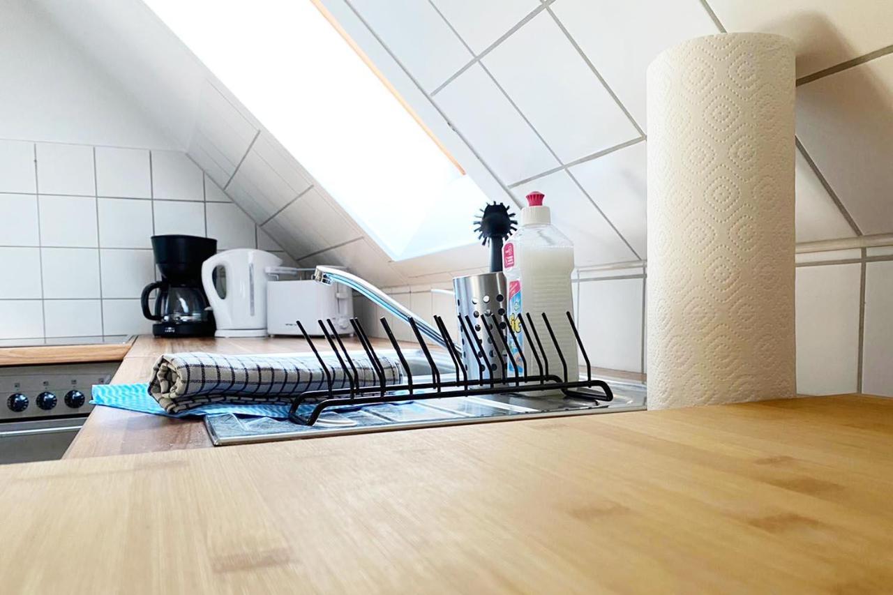Schoenes 1 Zimmer Apartment Mit Dachterrasse Glauchau Luaran gambar
